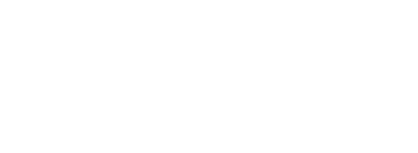 RATP Dev Lyon
